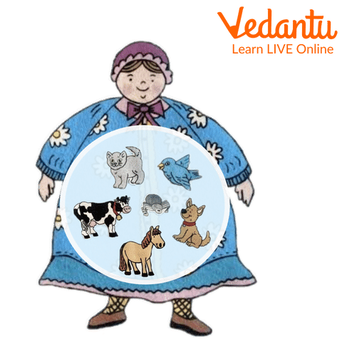 Old Lady Who Swallowed So Many Animals