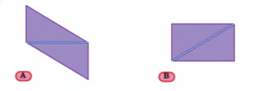 Have you made a shape like the one shown on the right