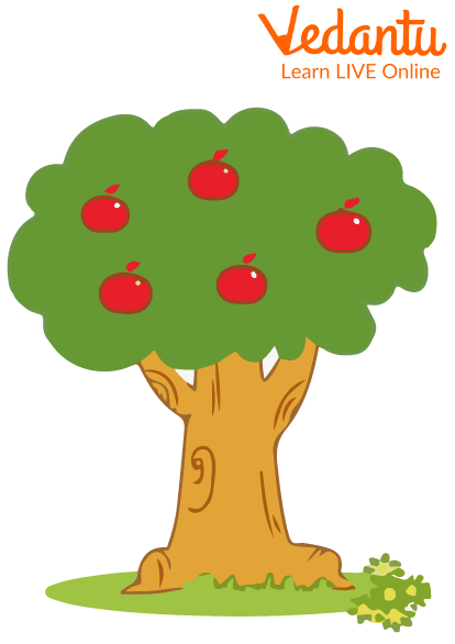 Apple Tree with Five Apples