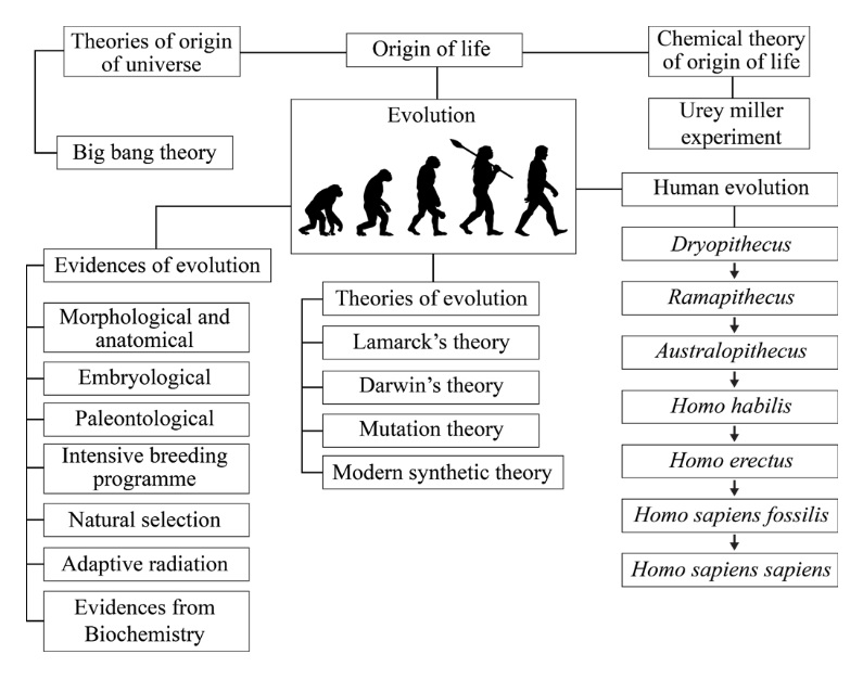 Evolution