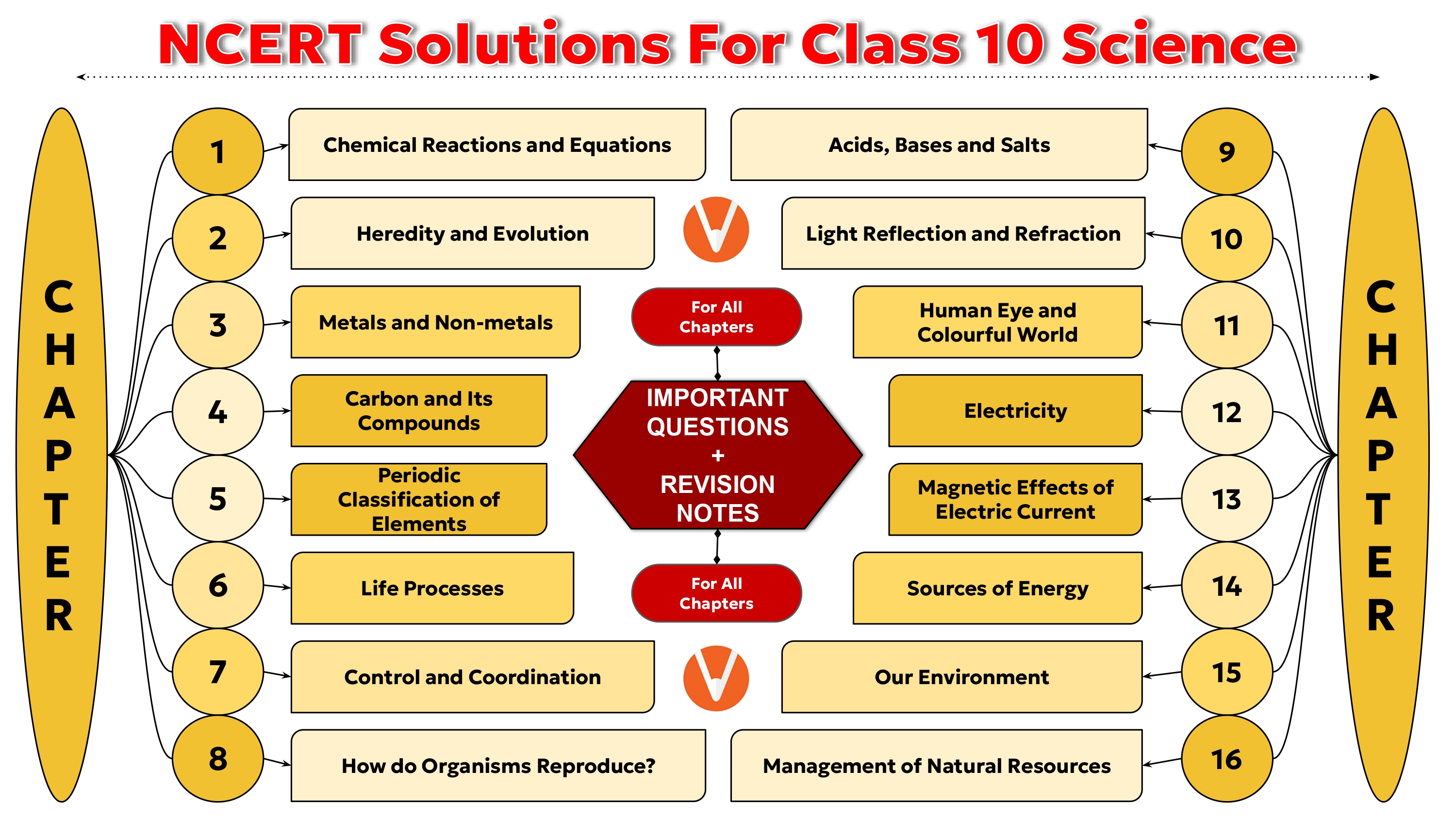 NCERT Solution for Class 10 Science Chapter wise image