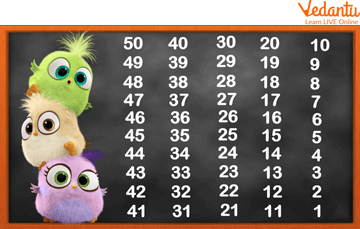 Backward Counting of Numbers From 50 to 1