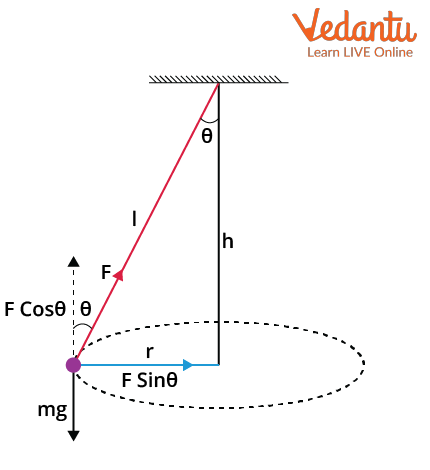 Schematic diagram of a conical pendulum