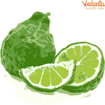 Bergamot Orange