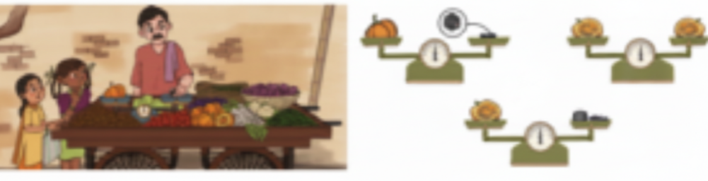 Rita and Shabnam went to the market to buy some fruits and vegetables. They saw the vegetable seller weighing vegetables