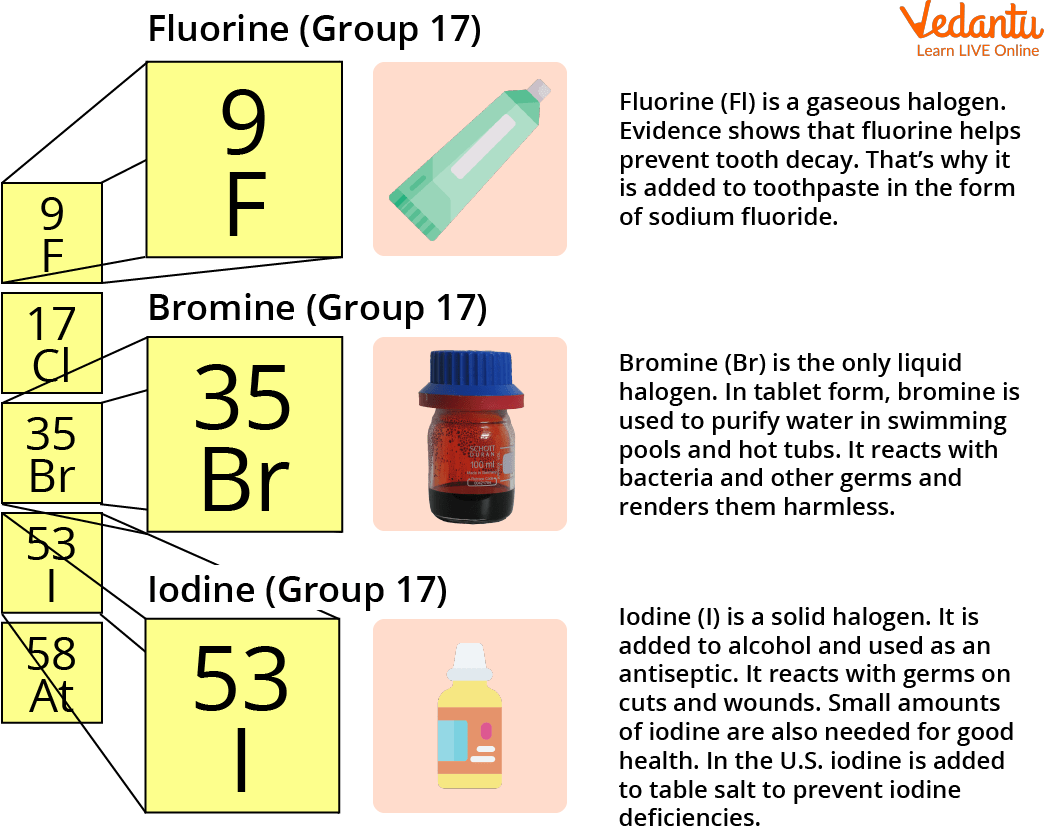 The Uses of Halogen Elements