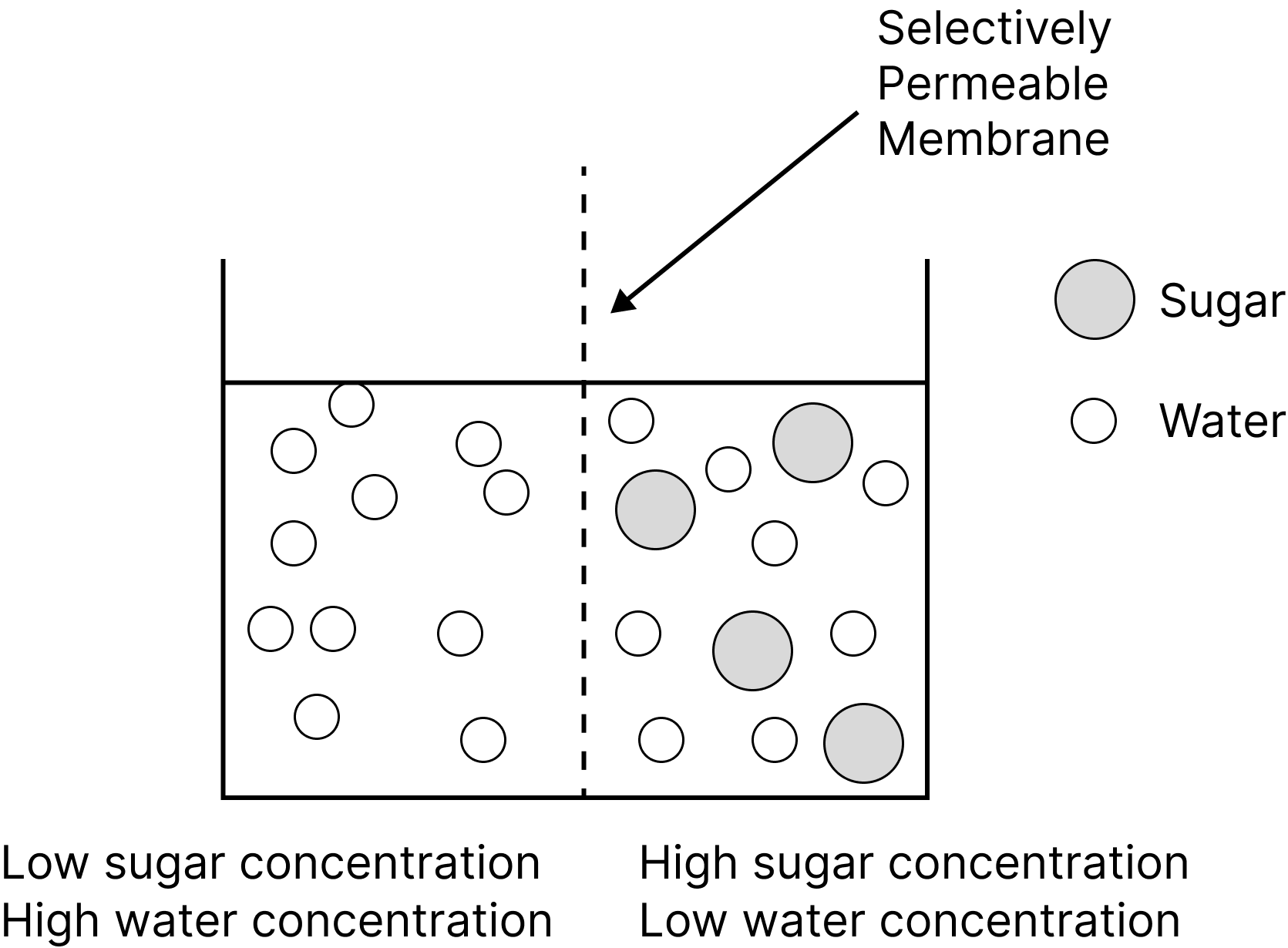 Process of osmosis