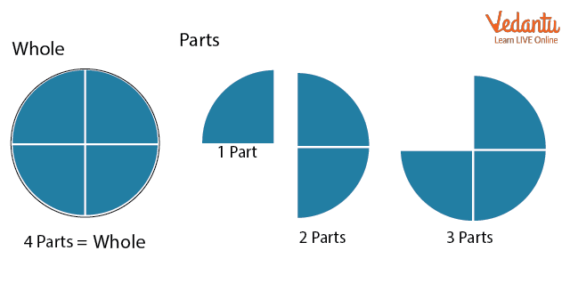 Whole and parts