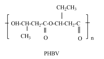 Polymer of PHBV