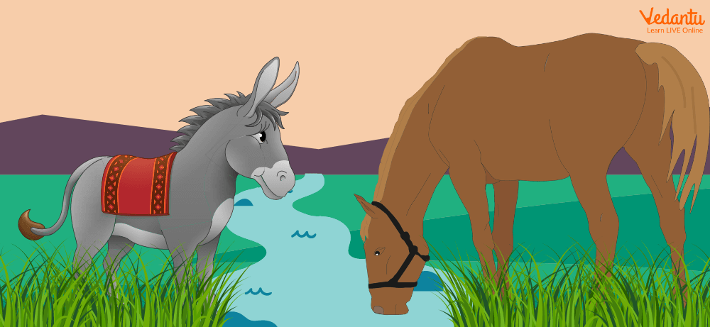 The donkey and the horse became the best friends forever