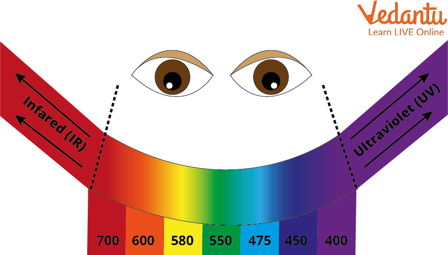 Image of the Visible Spectrum to the Naked Eye