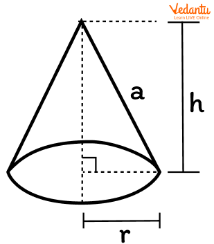 Base of a cone