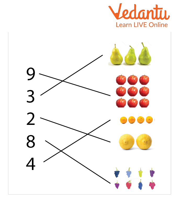 Match the Numbers