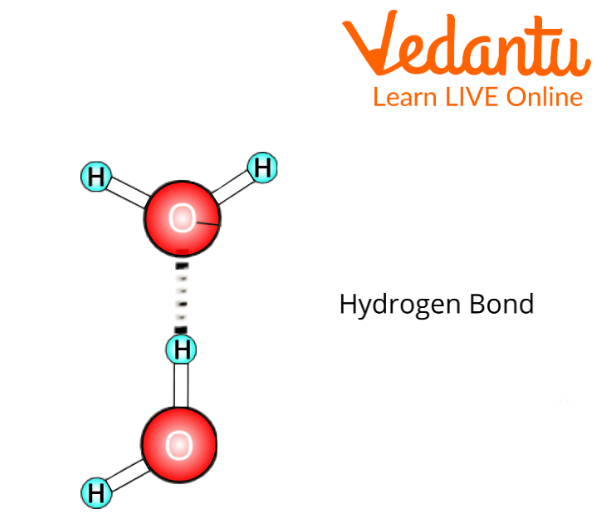 Hydrogen Bonding between Water Molecules
