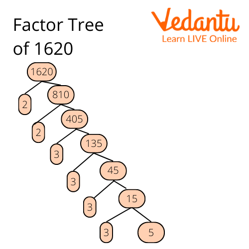 Prime Factorization of 1620 using tree method.
