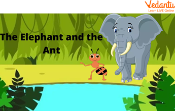 Ant and Elephant