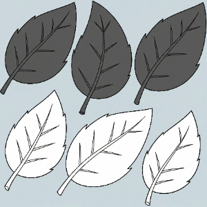 picture shows 1/2 of the leaves are shaded
