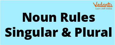 Noun’s Rules: Singular and Plural.