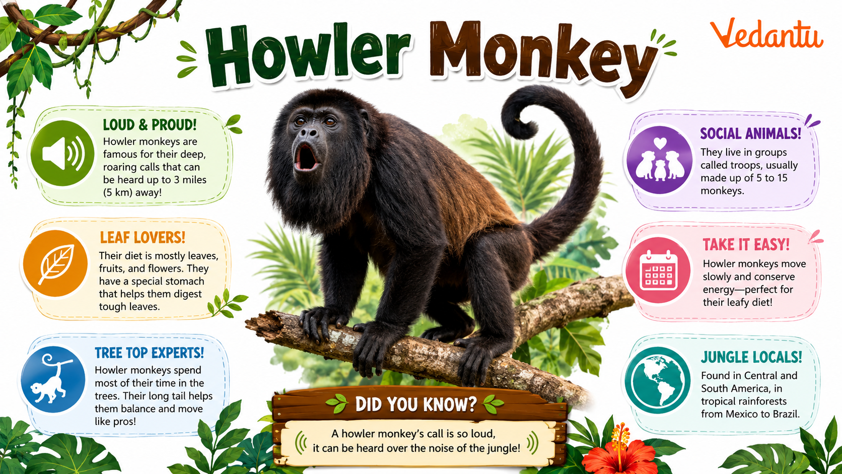 Howler Monkey sitting on a tree branch in rainforest habitat