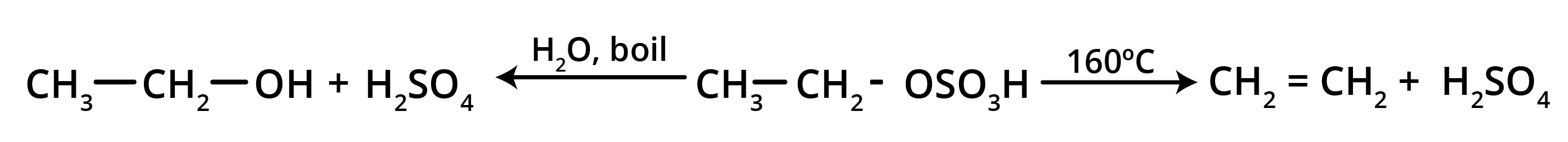 Formation of Alcohol from Alkyl Hydrogen Sulphates