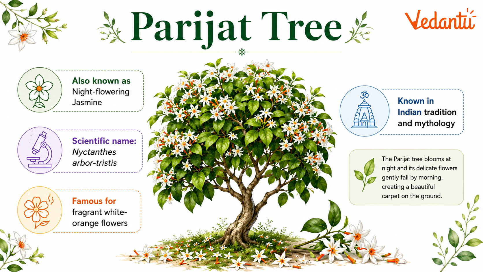 Parijat Tree