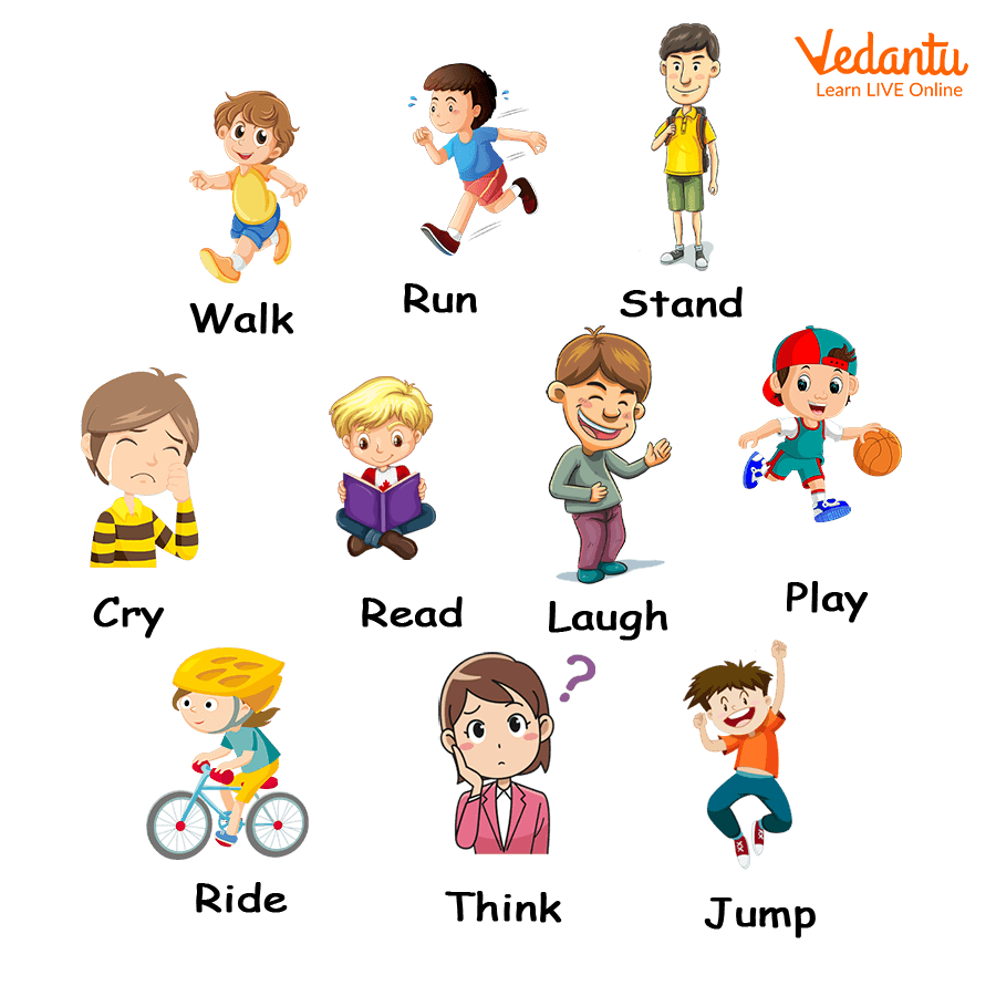 Verbs: The Action Words