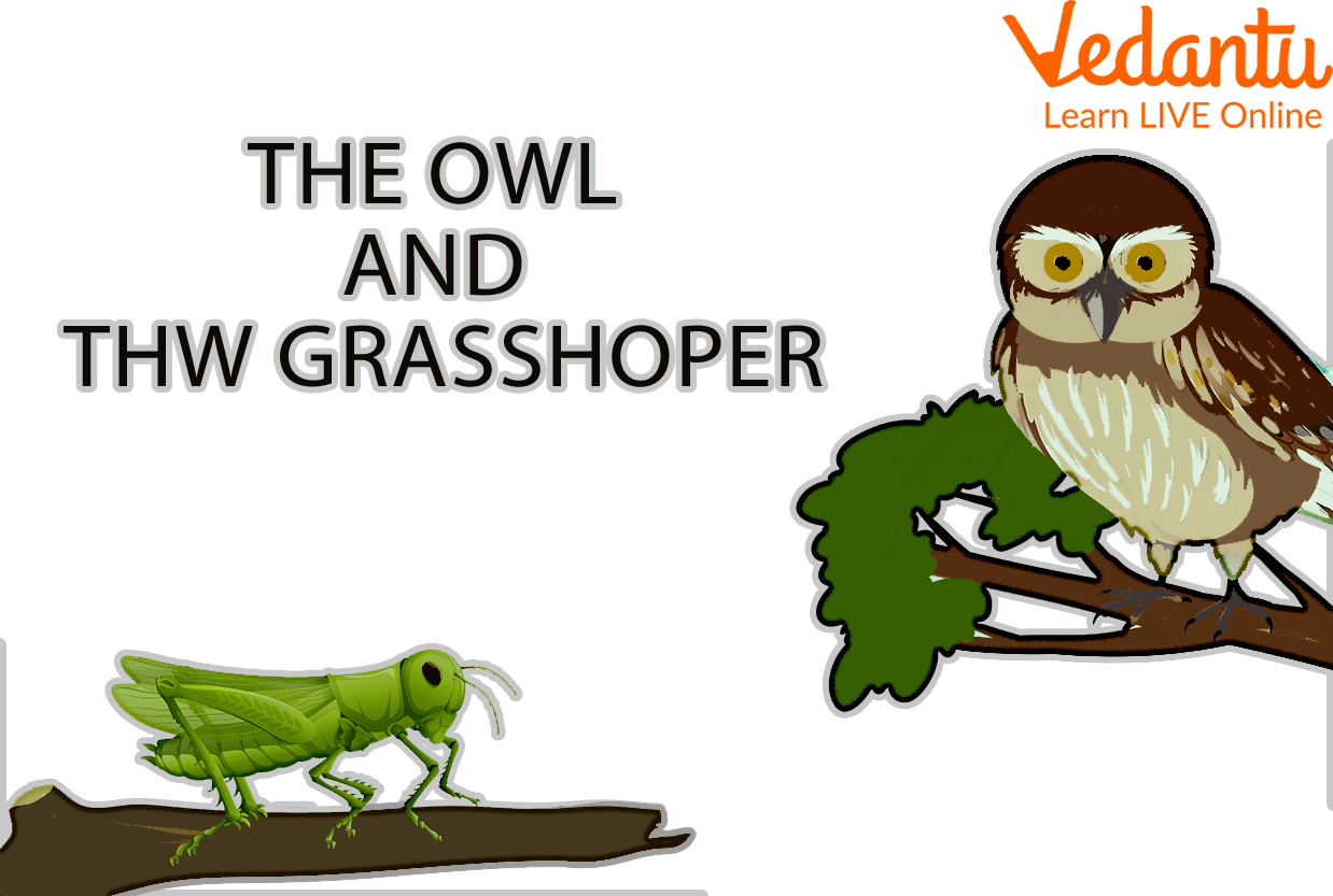 The Owl And The Grasshopper