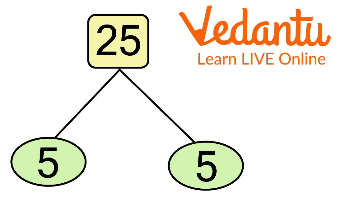 Prime Factorization of 25 using tree method