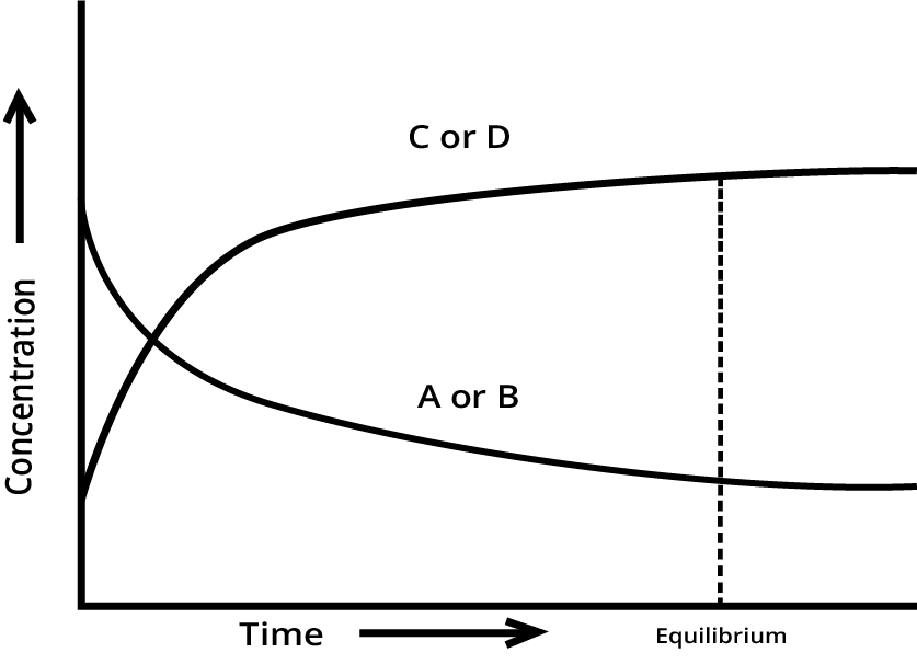 Showing Concentration Vs Time curve for a reversible reaction