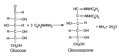 Reaction of Glucose with Phenylhydrazine