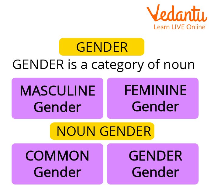 Types of Gender