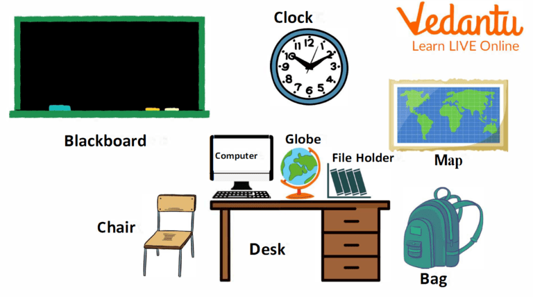 An illustration of the commonly found school things names