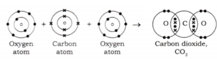 This forms two double covalent bonds.png