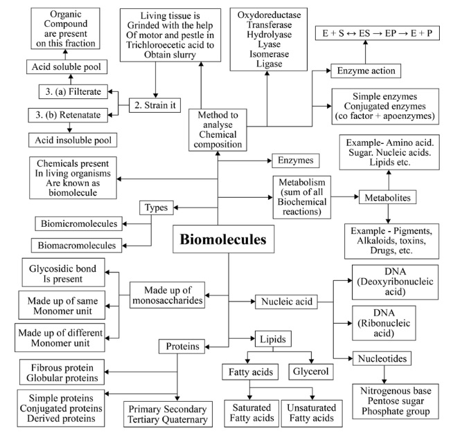 Biomolecules