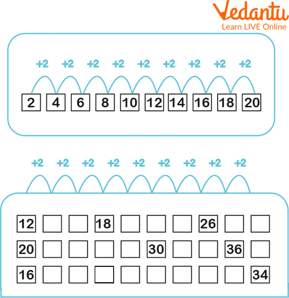 Counting in 2s worksheet