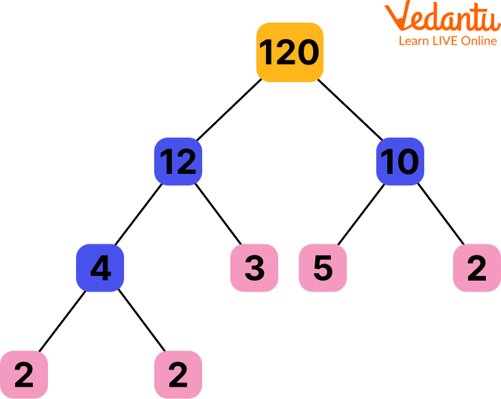 Factor tree