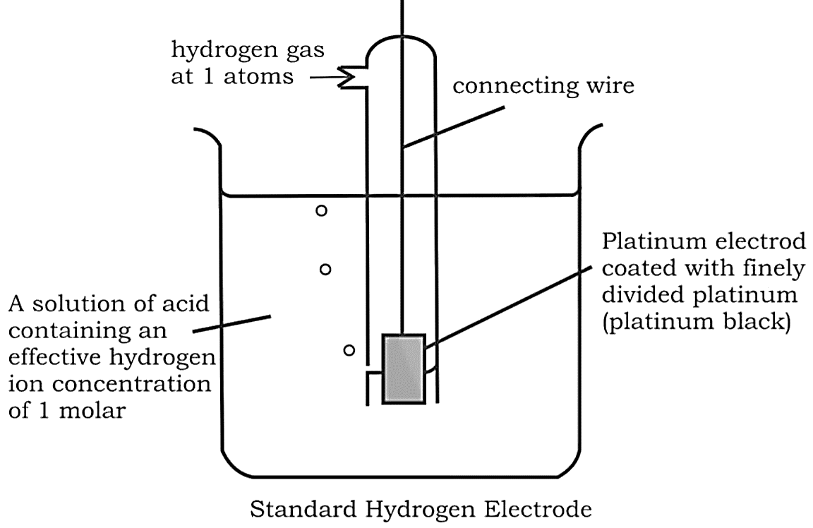 Gas Electrodes