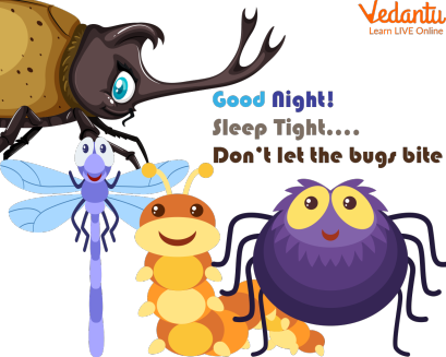 “Good Night, Sleep Tight” Children’s Song