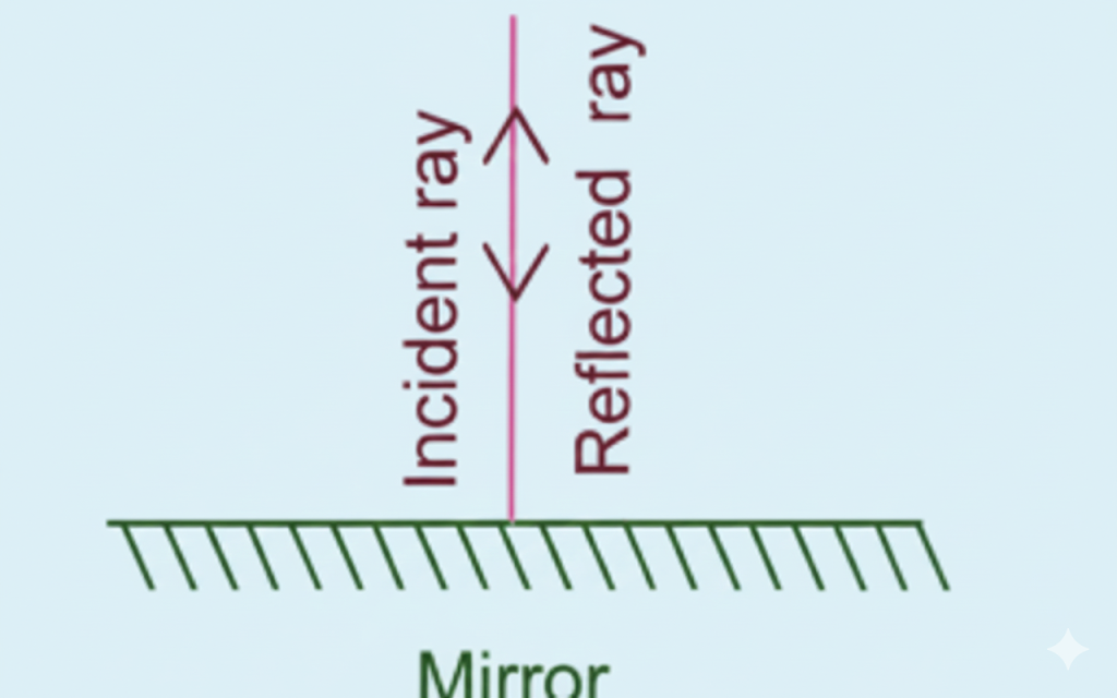 Light ray falls along the normal