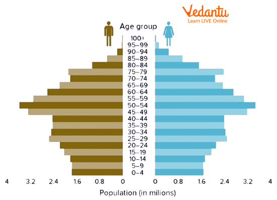 The Constructive Population Pyramid