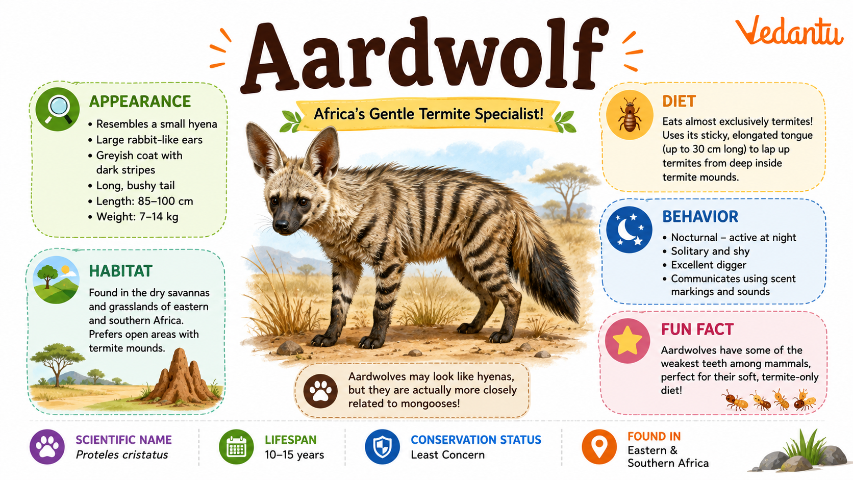 Aardwolf animal in grassland habitat
