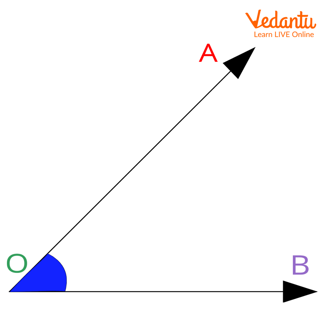 Angles: Definition, Parts, Types and Fun