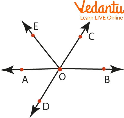 Adjacent angles