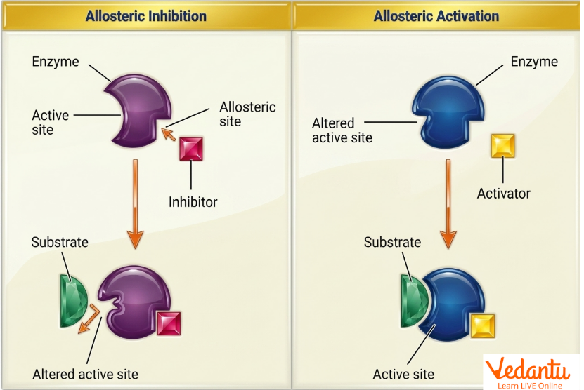 Allosteric Inhibition and Activation