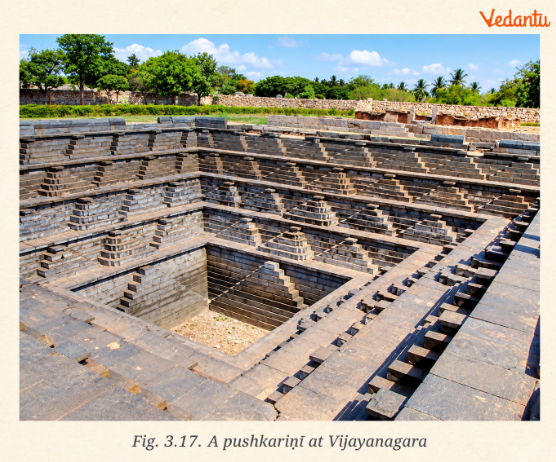 Fig 3.17 Apushkarini at Vijayanagara