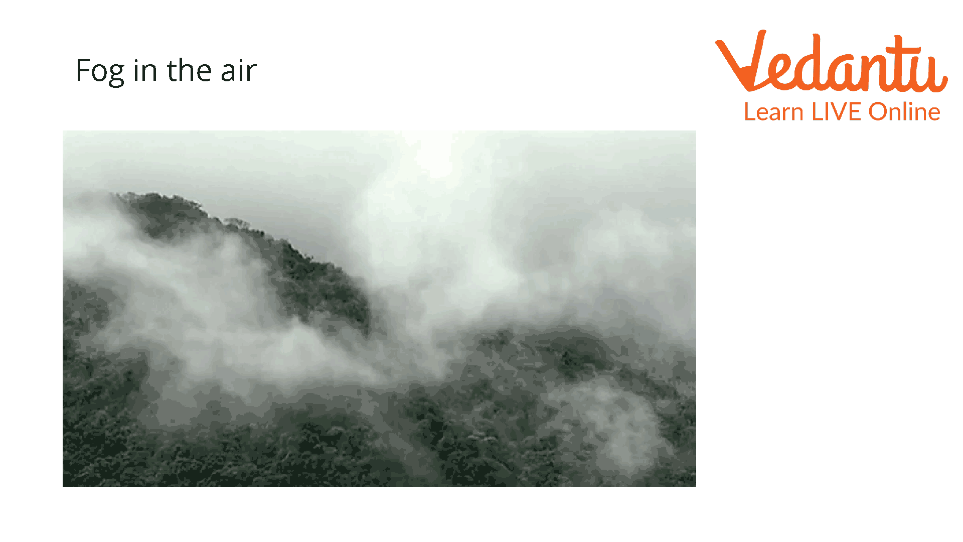 Fog in the Air