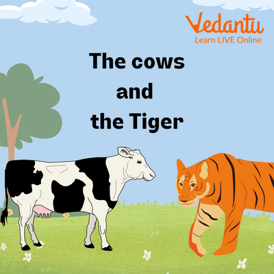 Cow and Tiger story