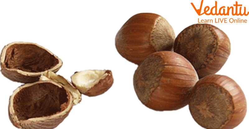 Hazelnuts