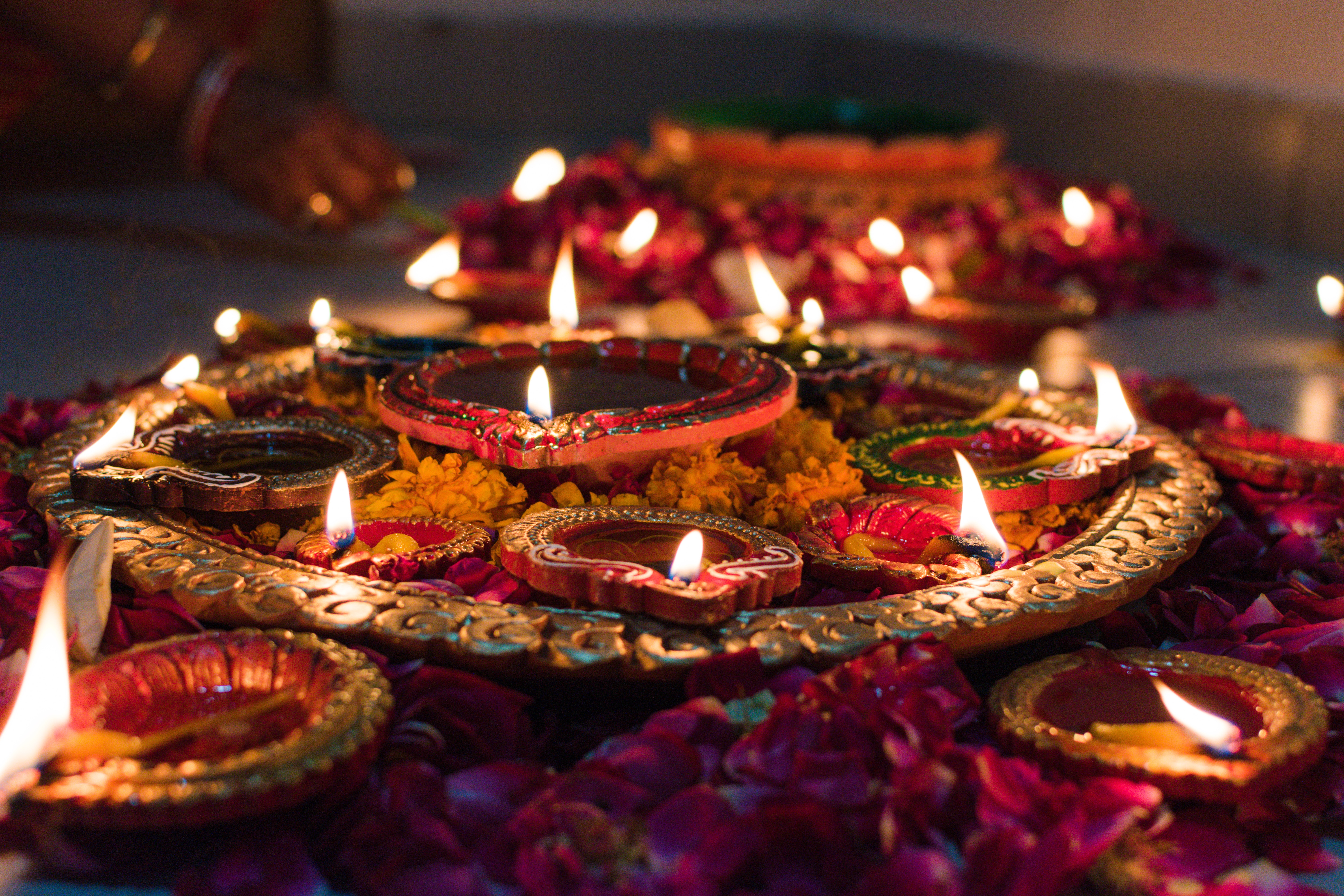 Diwali 2023: Your Guide to Celebrate a Green Diwali
