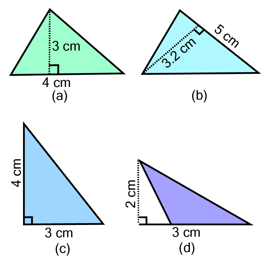 PQRS is a parallelogram. QM is the height from Q to SR and QN is the height from Q to PS. If SR ${\text{ =  12 cm}}$ and QM ${\text{ =  7}}{\text{.6 cm}}$